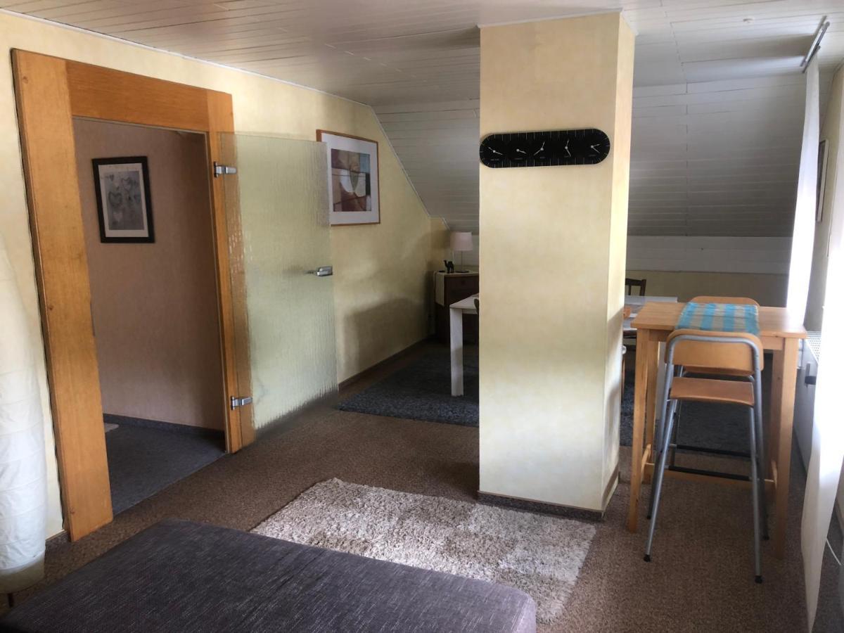 Ironico Homestay 4 Schlafzimmer Ferienwohnung 100 M2 Nahe Bostalsee Eisen  Exterior photo
